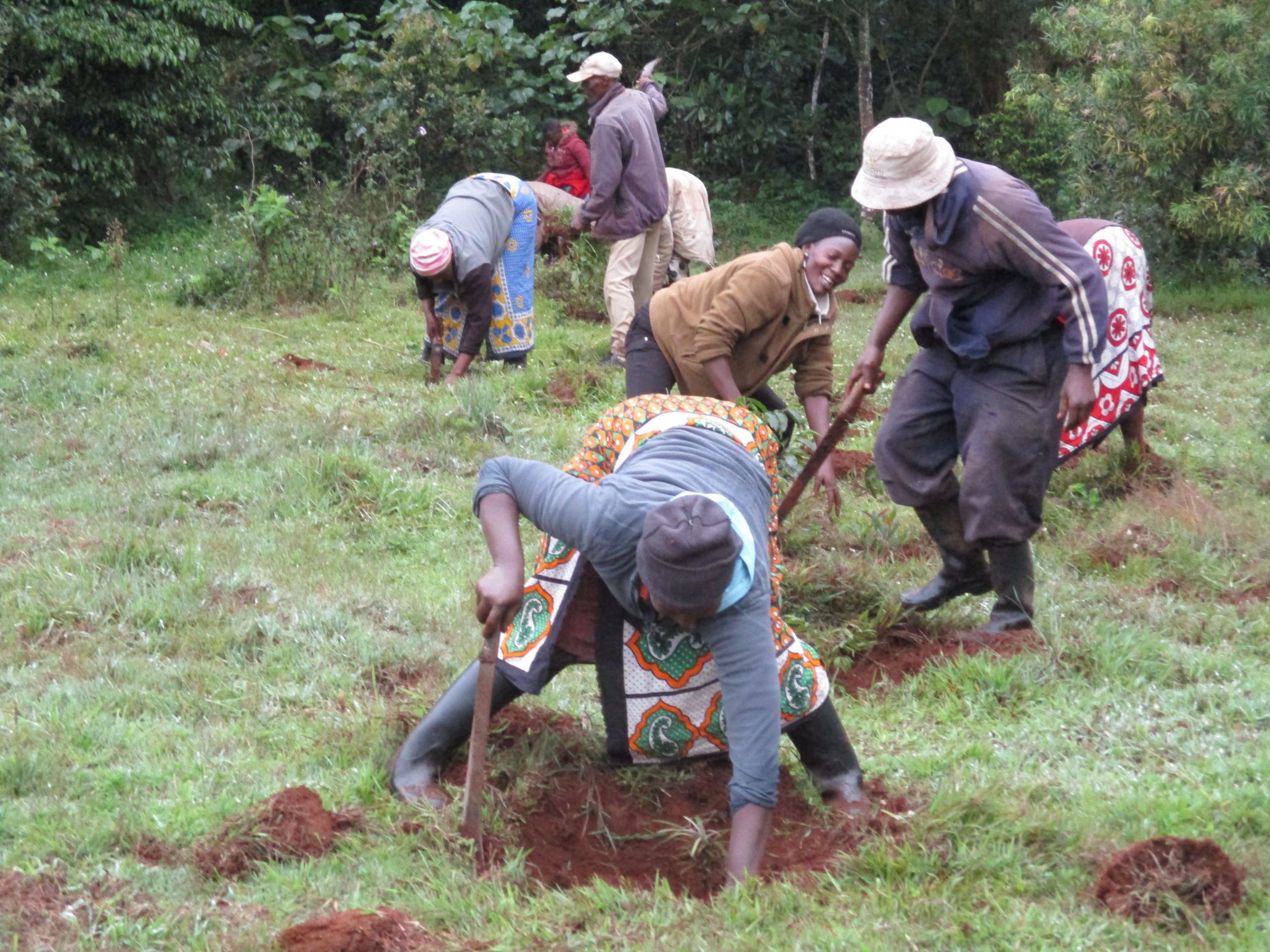 Tree Planters Kenya