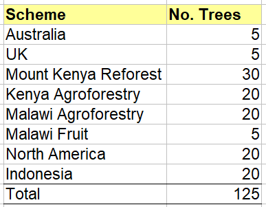Tree Planters Kenya