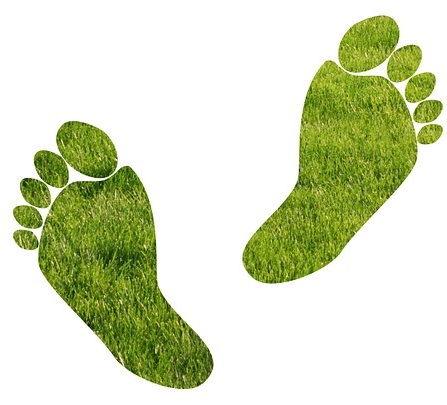 Offset your Carbon Footprint